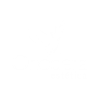 P onodera